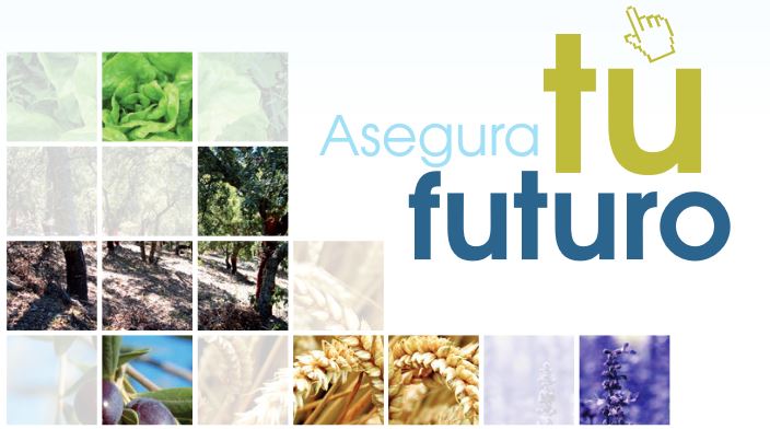 Publicada la Guia de l'assegurança agrària per a l'any 2019