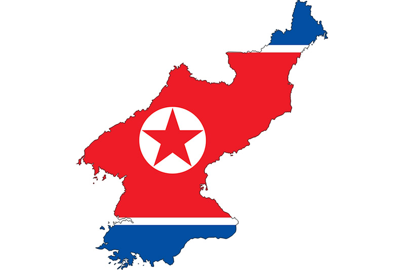 Un diari de Corea del Nord confirma el brot de pesta porcina africana al país