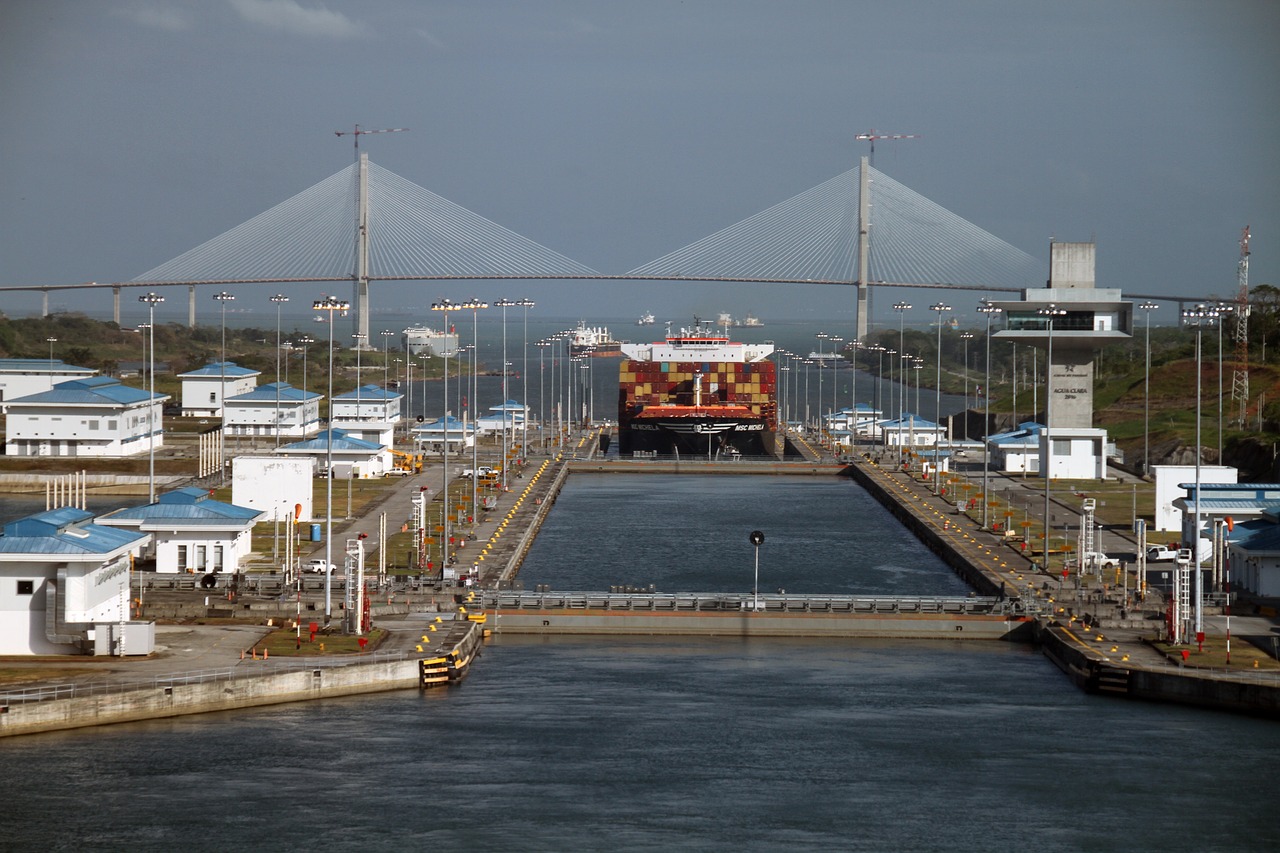 Panamá prohíbe la importación de cerdo de países con peste porcina