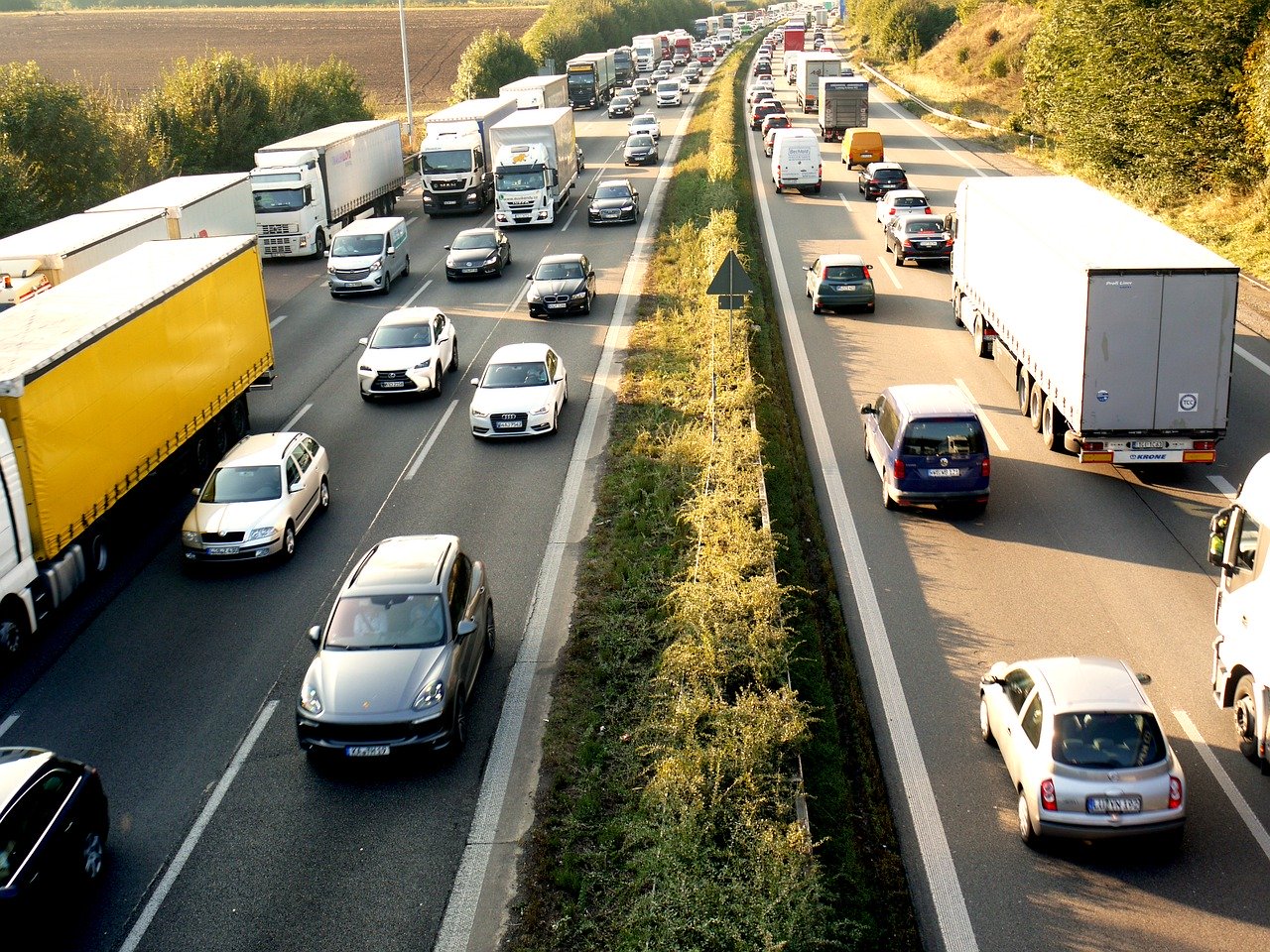 Las restricciones por el coronavirus en Italia no afectan al transporte de animales vivos