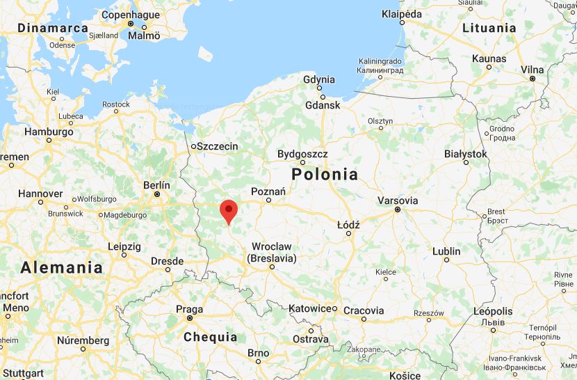 Polònia detecta el seu primer brot de PPA en porcí domèstic i molt a prop d'Alemanya