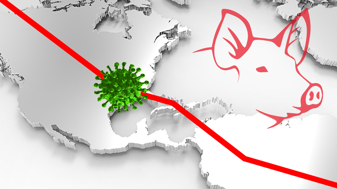 "Los problemas del porcino americano ante la pandemia de coronavirus"