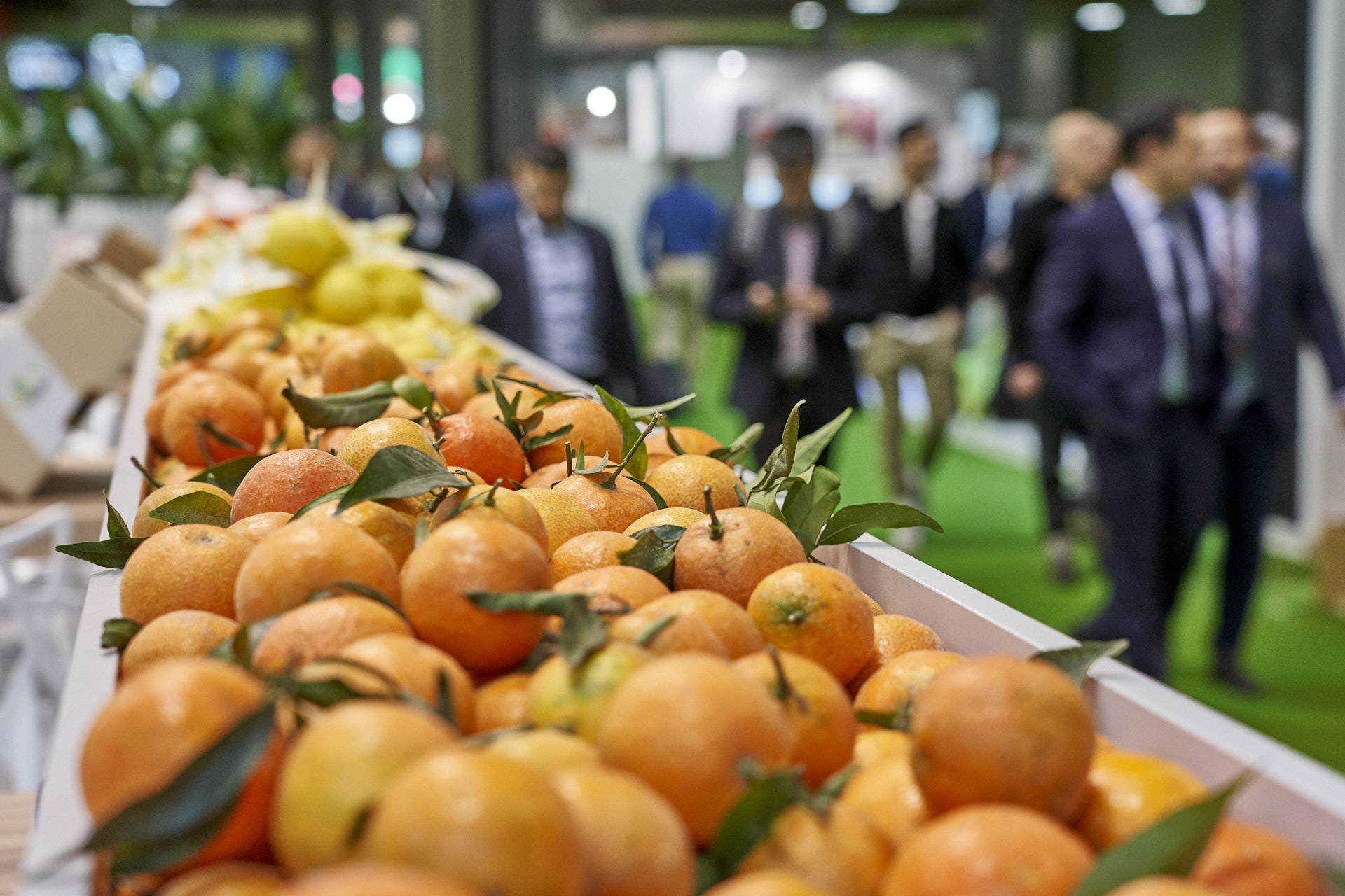 Fruit Attraction 2020 será telepresencial