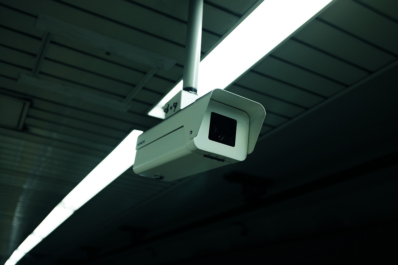 Consum treu a consulta un projecte per instal·lar vídeo càmeres en escorxadors