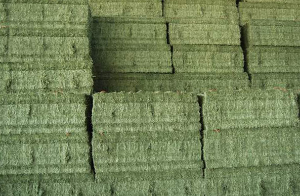 Las exportaciones de alfalfa deshidratada alcanzaron las 116.762 toneladas en noviembre