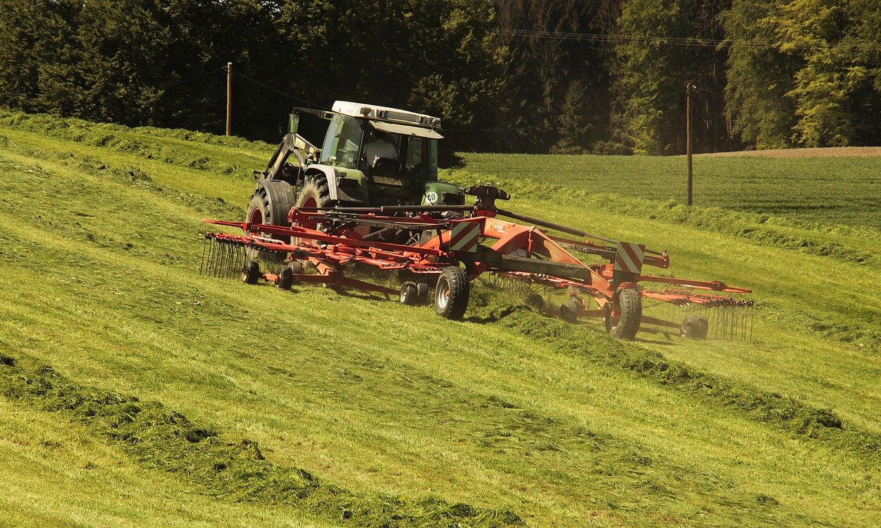 Mejoran las cifras de las exportaciones de alfalfa deshidratada durante enero de 2021