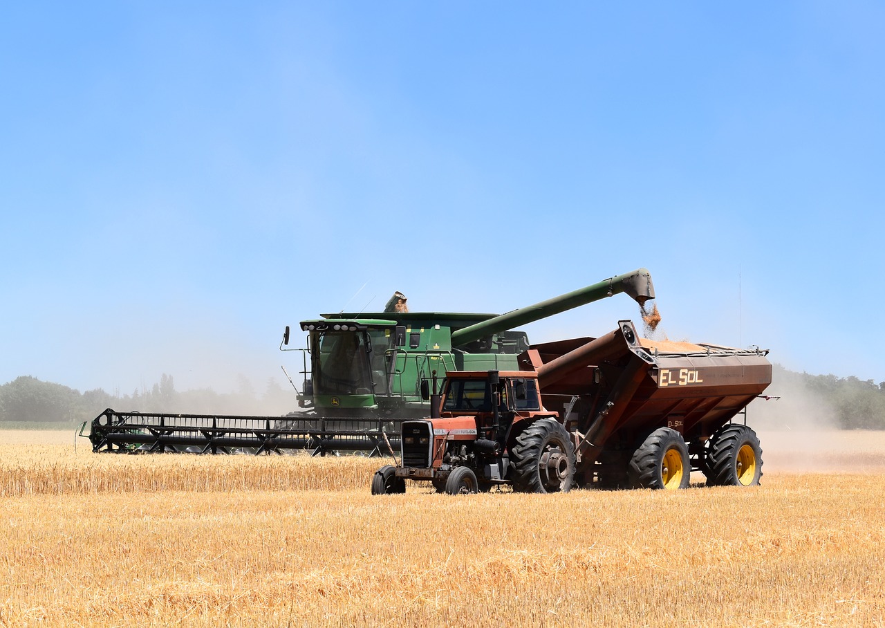 La tercera estimación de Cooperativas apunta a una cosecha de cereales de 24 millones de toneladas 