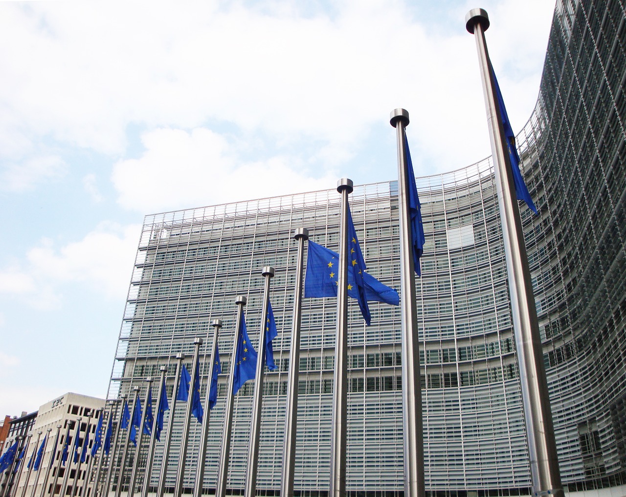 Europa rechaza aplicar medidas de mercado para el porcino intracomunitario