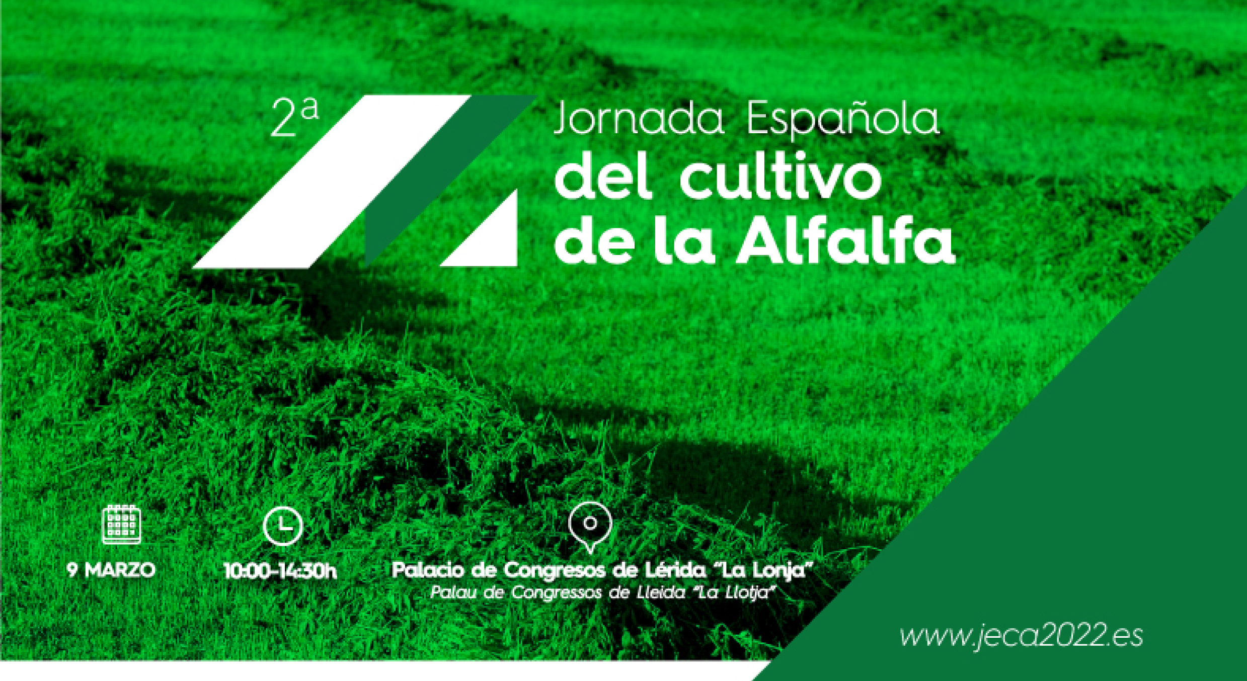 Lleida acogerá la II Jornada Española del Cultivo de la Alfalfa