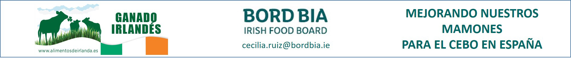 BordBia