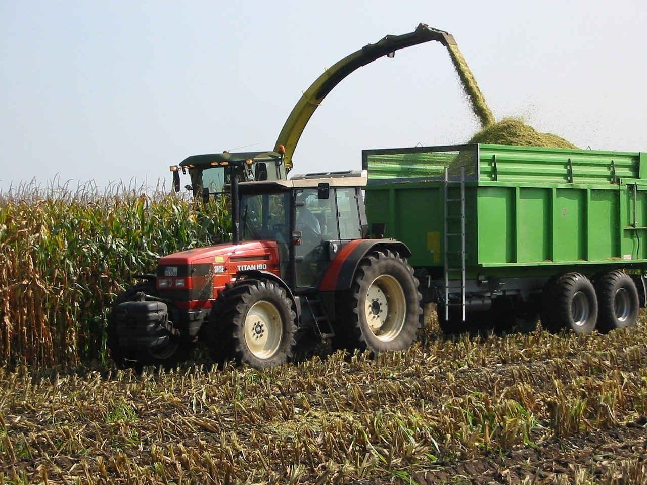 Espanya flexibilitza les condicions per importar blat de moro d'Argentina i Brasil