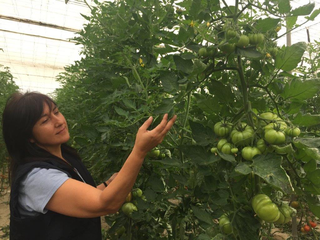 "Cuando la mujer rural se baja del tractor. Mitos y realidades"