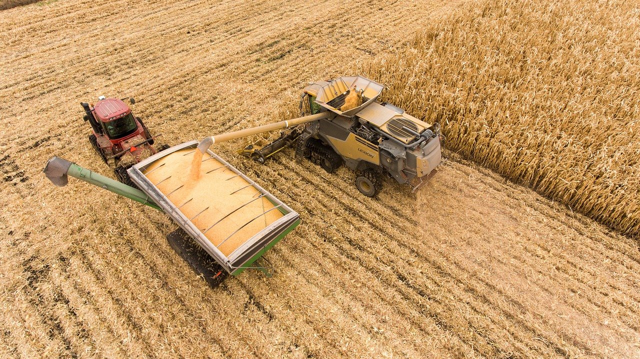 Ucrania prevé producir un 65% de su cosecha habitual