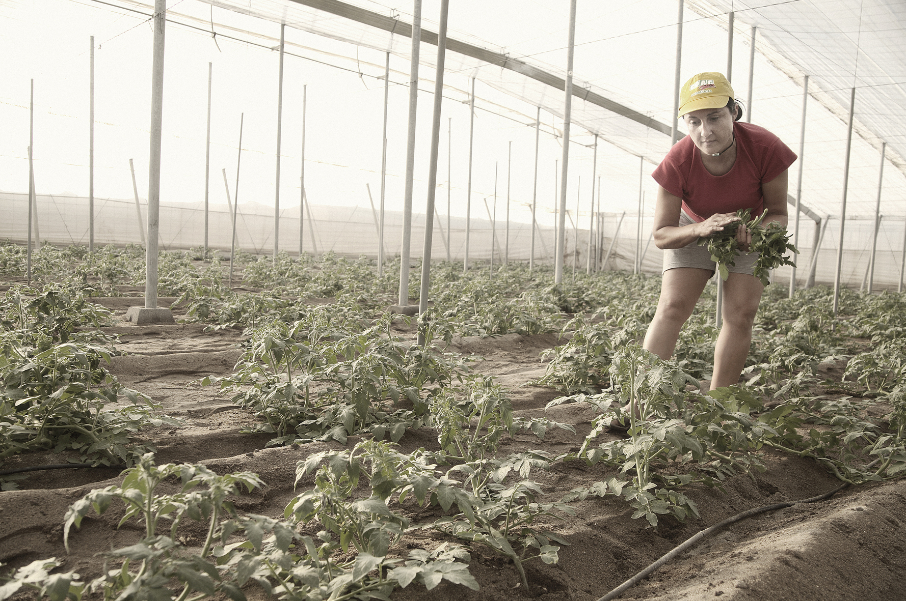 "La dictadura de lo cotidiano. Reflexiones de una mujer rural"