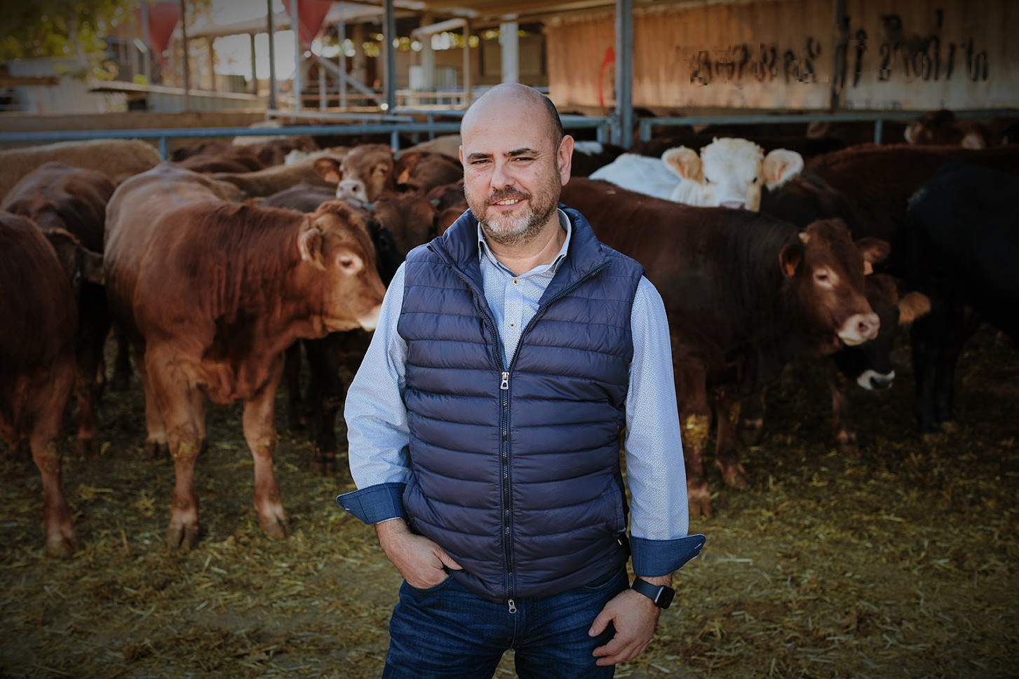"El impacto del acuerdo UE-Mercosur en el vacuno de carne europeo: una amenaza para la competitividad"