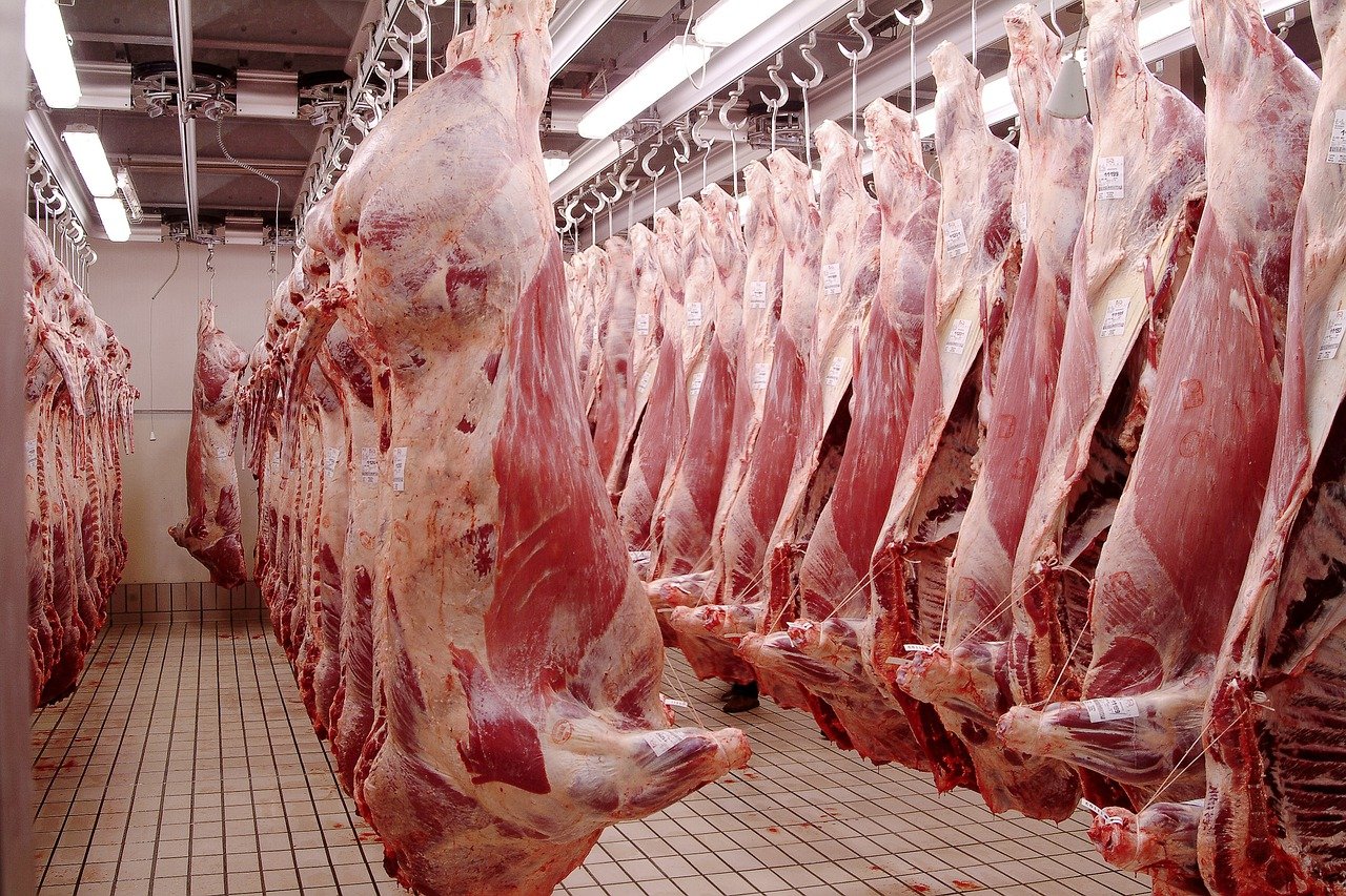 ANICE i FECIC xifren en 190 milions les pèrdues de la indústria càrnia per l'apagada