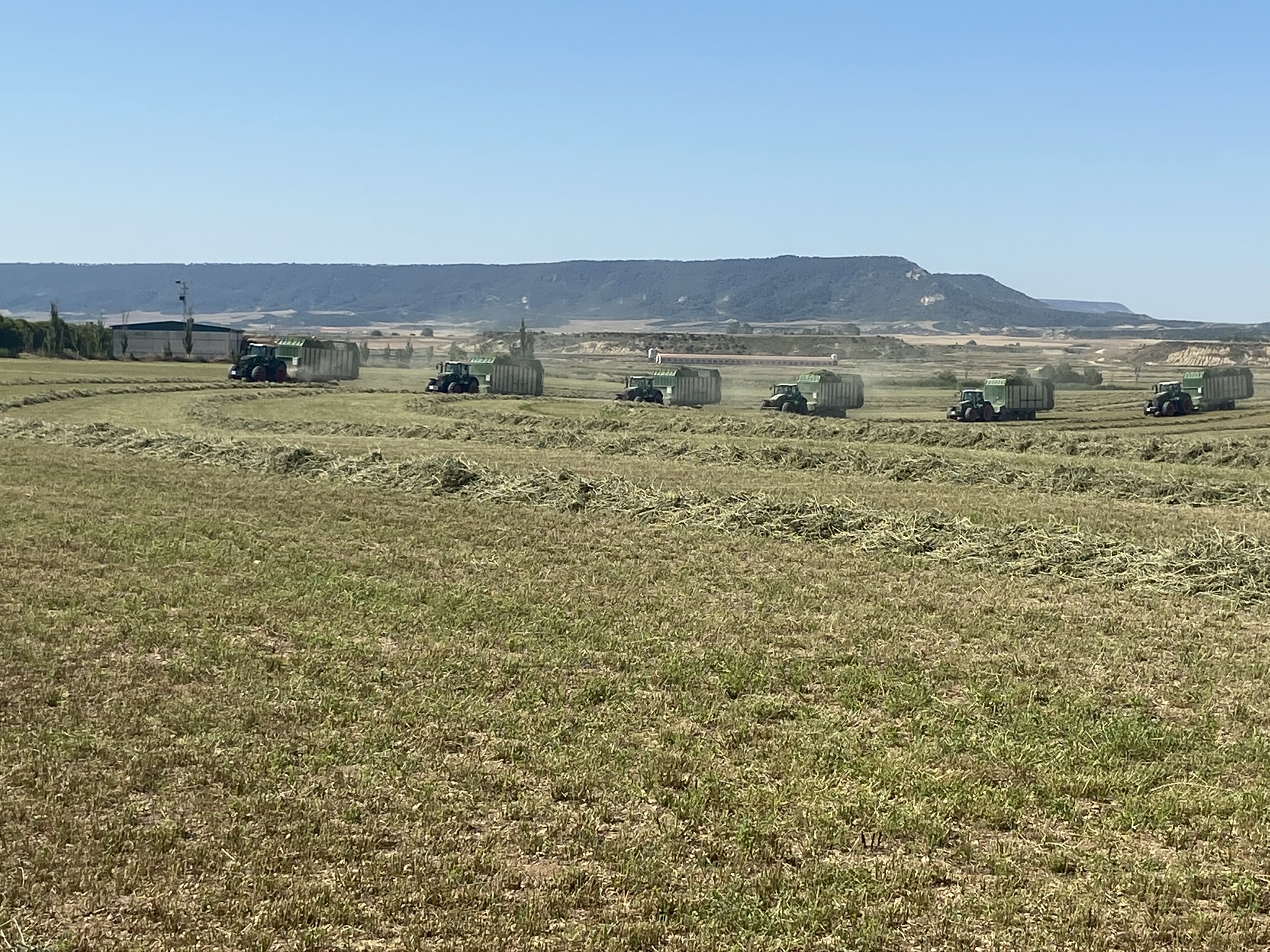 España aumenta un 16% la producción de forrajes deshidratados en la campaña 2024/25