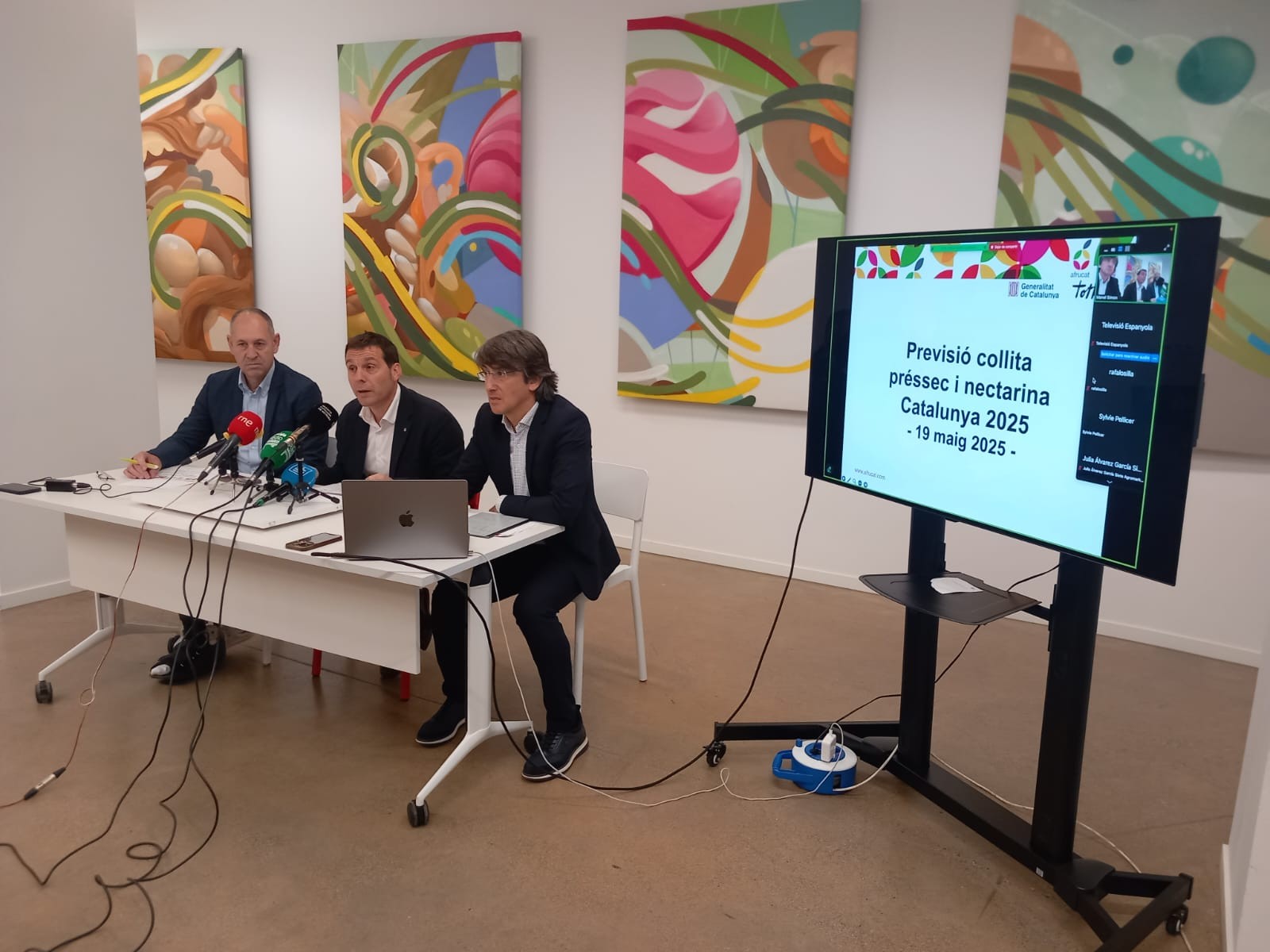 Cataluña mantendrá su producción de fruta de hueso a pesar de las granizadas de esta primavera