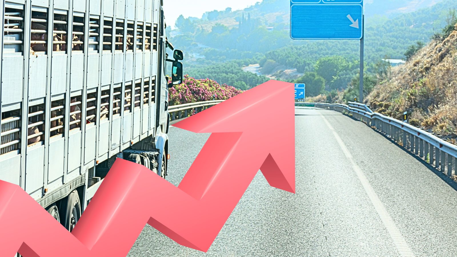 ANICE reclama una normativa europea de transporte animal equilibrada que no perjudique al sector