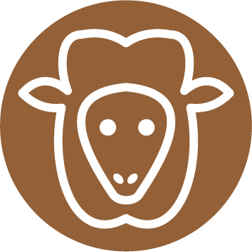 Ovino