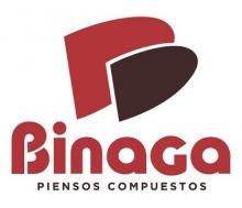 Binaga